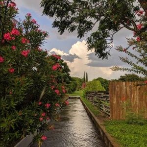 Meet your Posher, Maya